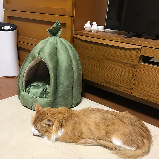 uchidaizuさんの実例写真