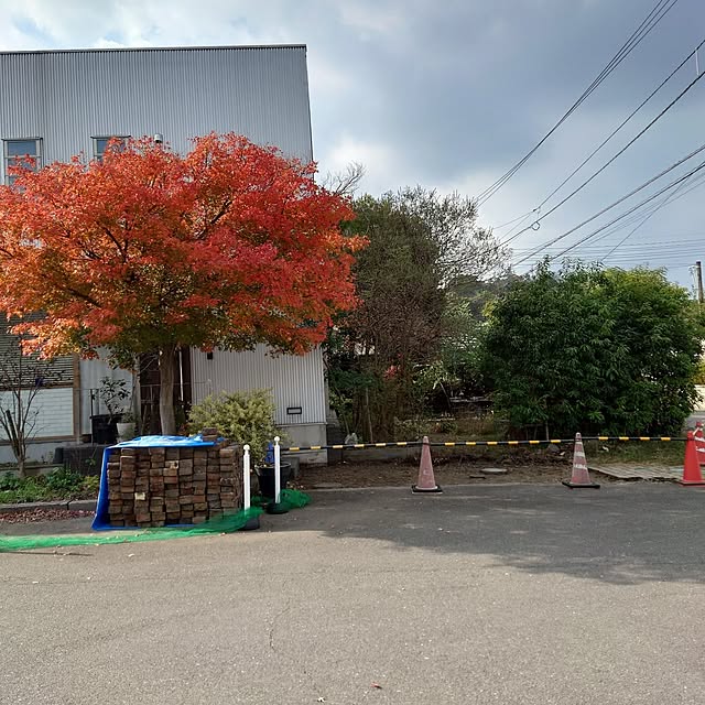 asmaさんの部屋