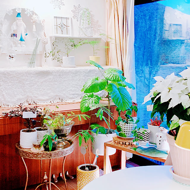 moonさんの部屋