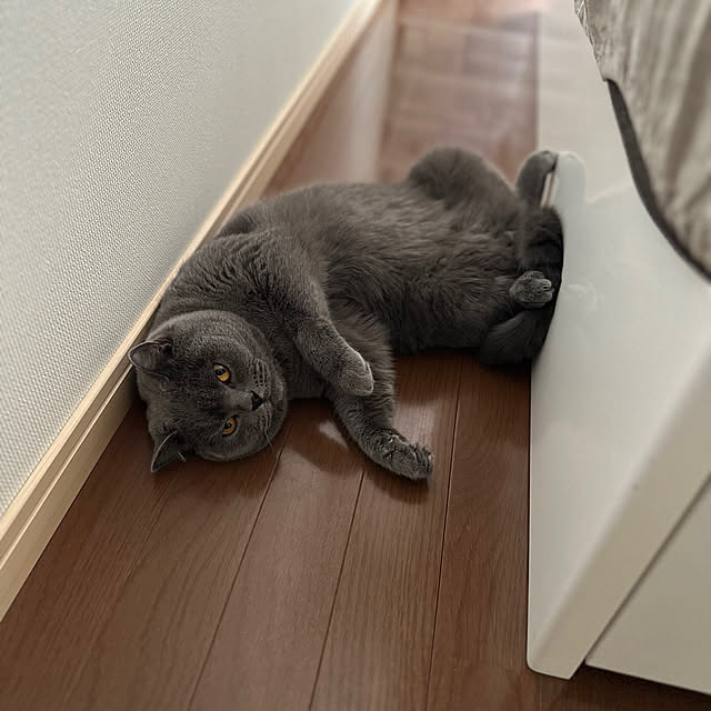 kittyさんの部屋