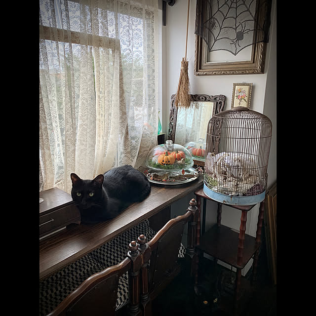 mecchaさんの実例写真
