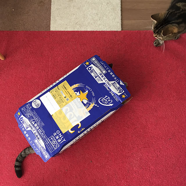 mikomaruさんの実例写真