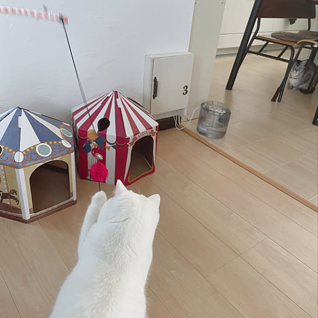 kotoriさんの実例写真