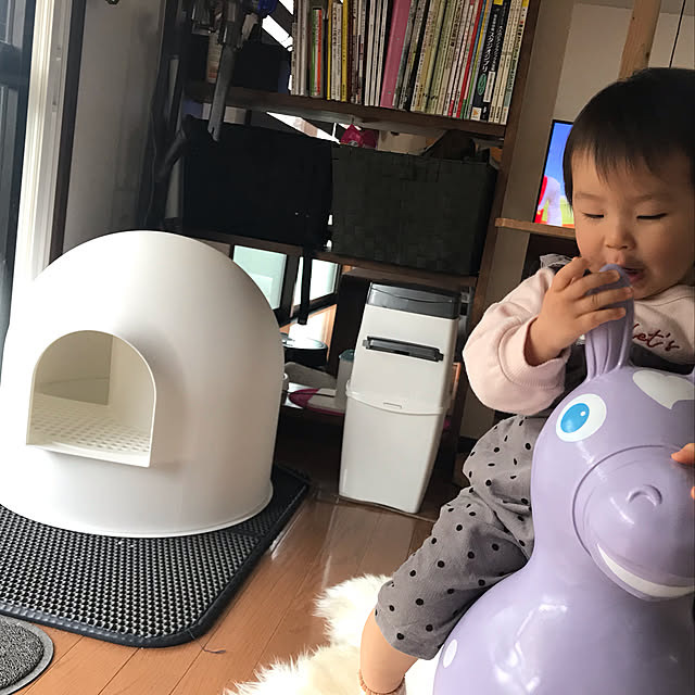 Yumiさんの実例写真