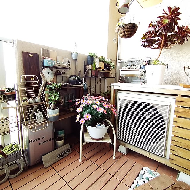 sakusakuさんの部屋