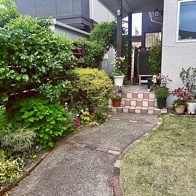 hinamamaさんの部屋