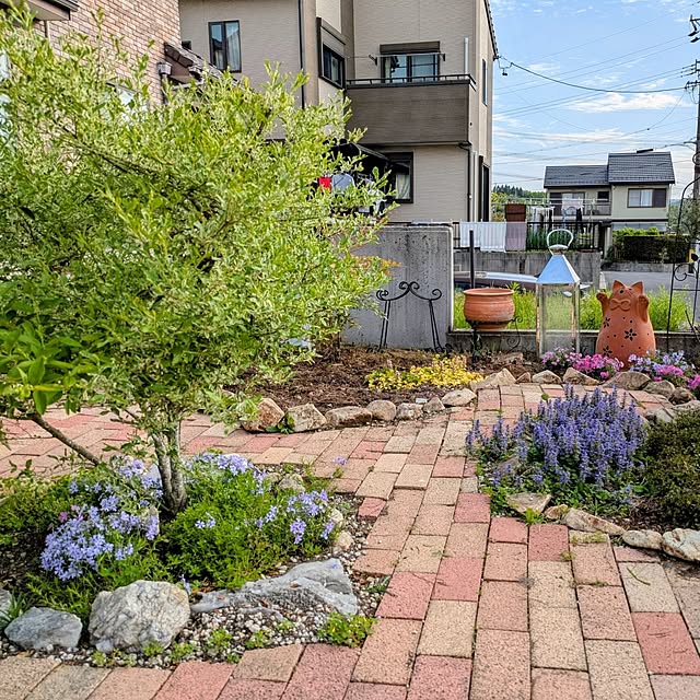 kikufujiさんの部屋