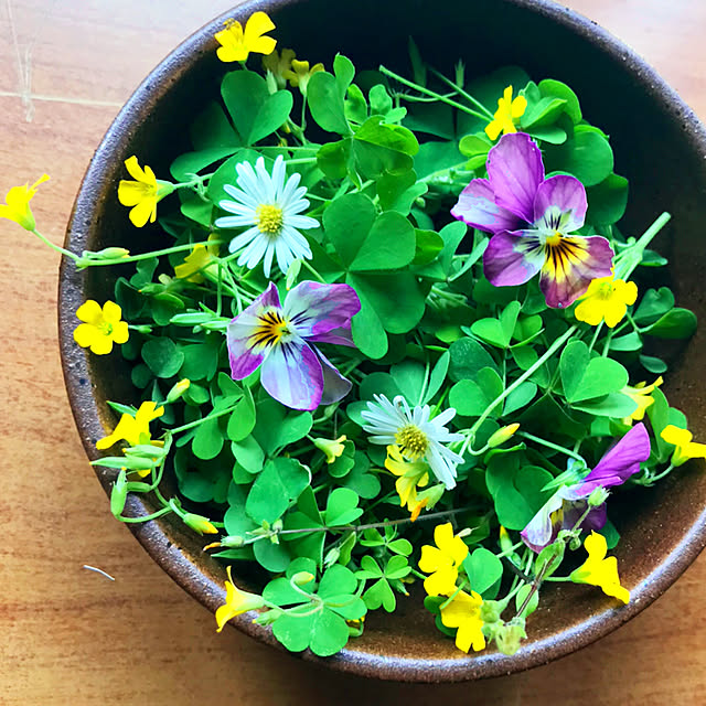 portulacaさんの実例写真