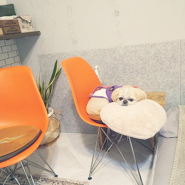 yukagomaさんの実例写真