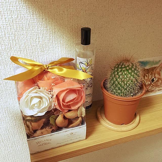 moamoaさんの実例写真