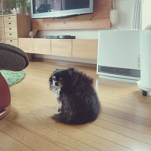 yukaさんの実例写真