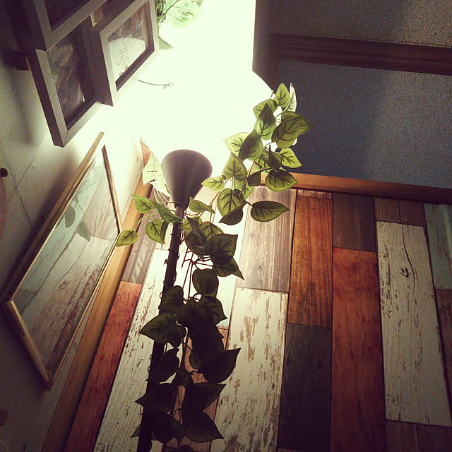runaさんの実例写真