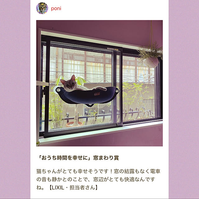 poniさんの実例写真