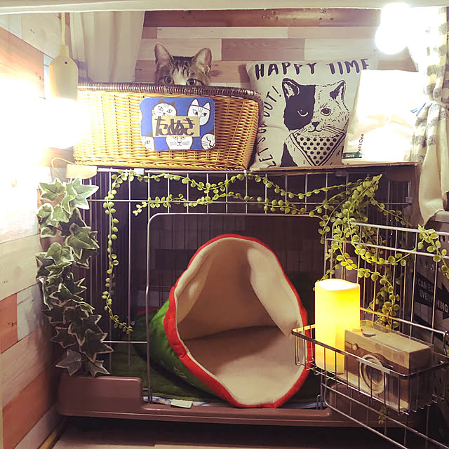 mikenekoさんの実例写真