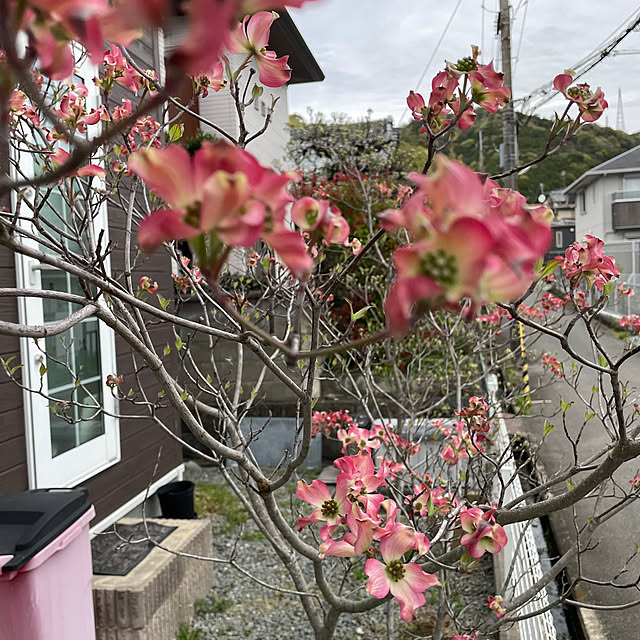 Andaluciaさんの部屋