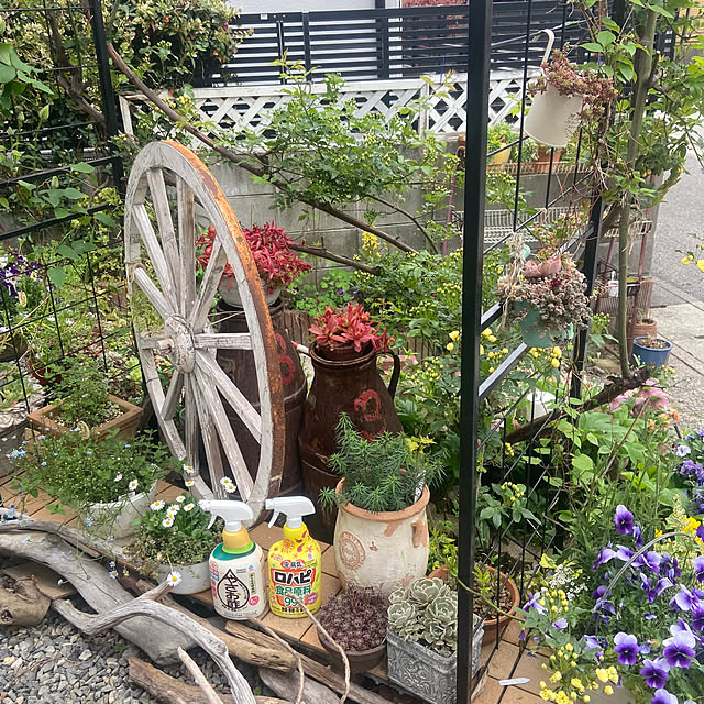 na-chanさんの部屋