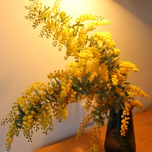 wara_waraさんの実例写真