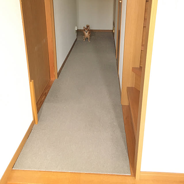 koroさんの実例写真