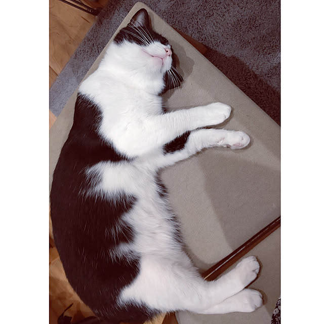 hihaさんの実例写真