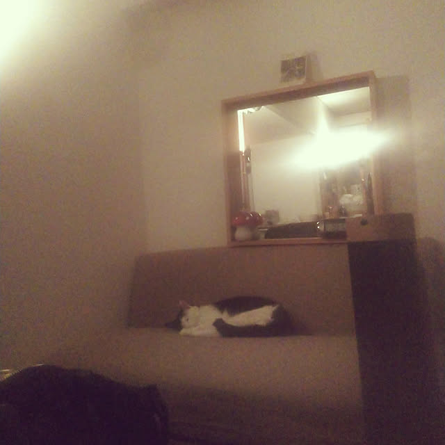 catloveさんの実例写真