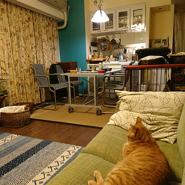 okyosan101さんの実例写真