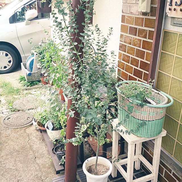 amifuuさんの実例写真