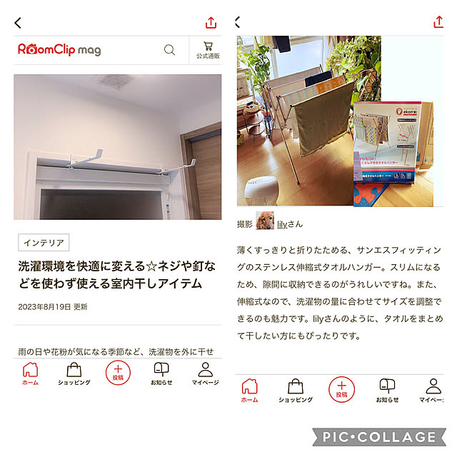 lilyさんの実例写真
