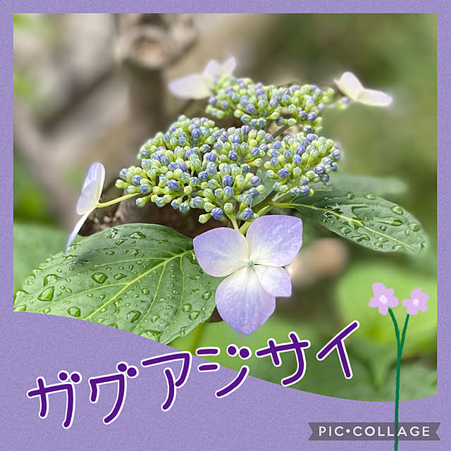 Smilkazuさんの実例写真
