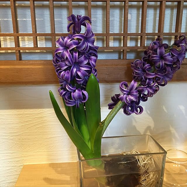 y.yoshimi4437さんの実例写真