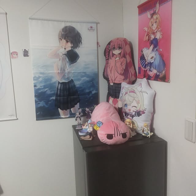 rhiplisさんの実例写真