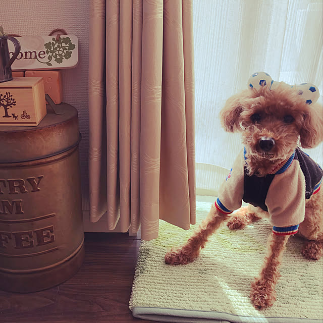eriharuさんの実例写真