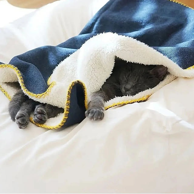 shima_shimaさんの実例写真