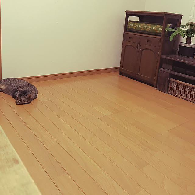 mikan161さんの実例写真