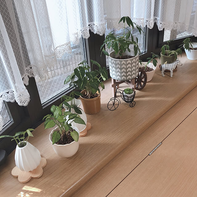 katoponさんの実例写真