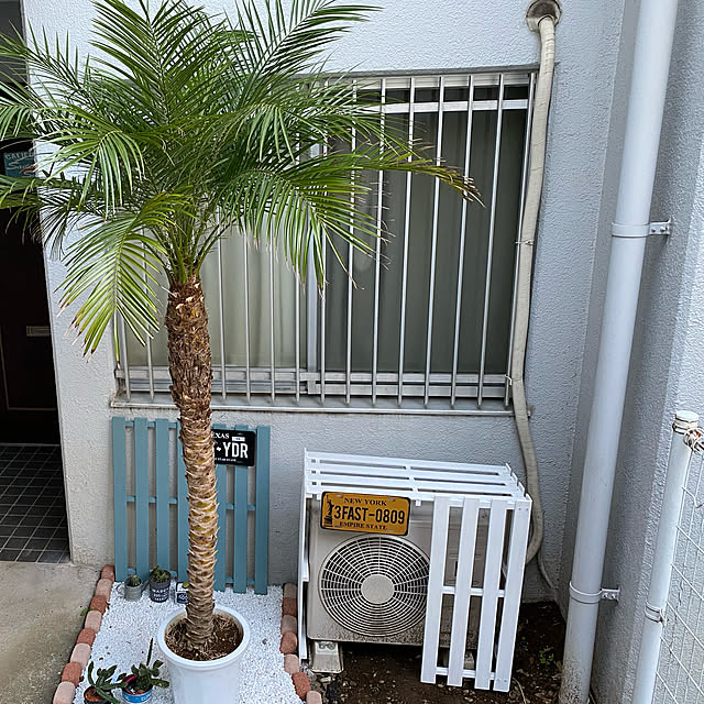 PUさんの実例写真