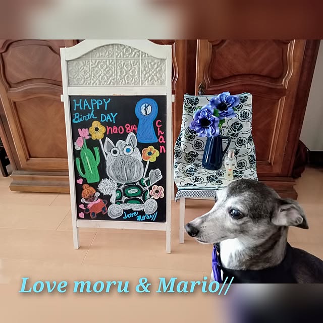 moruさんの部屋