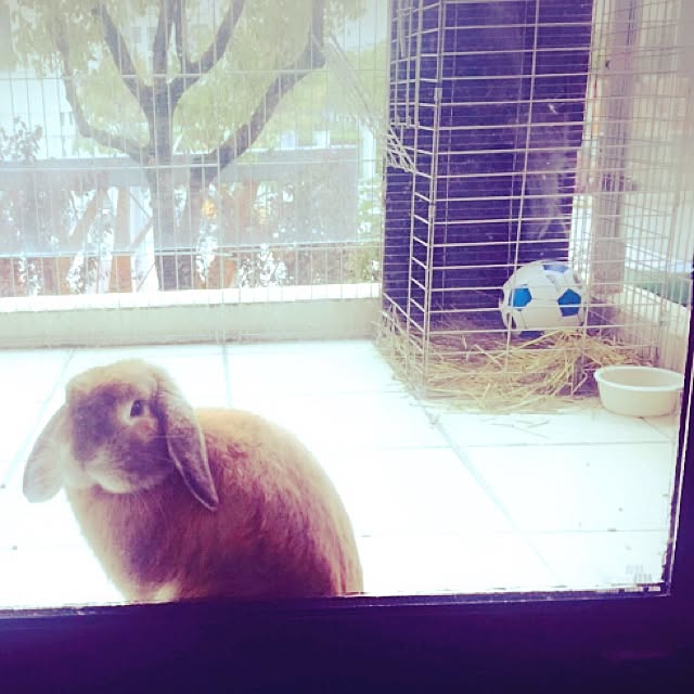 MARIさんの実例写真
