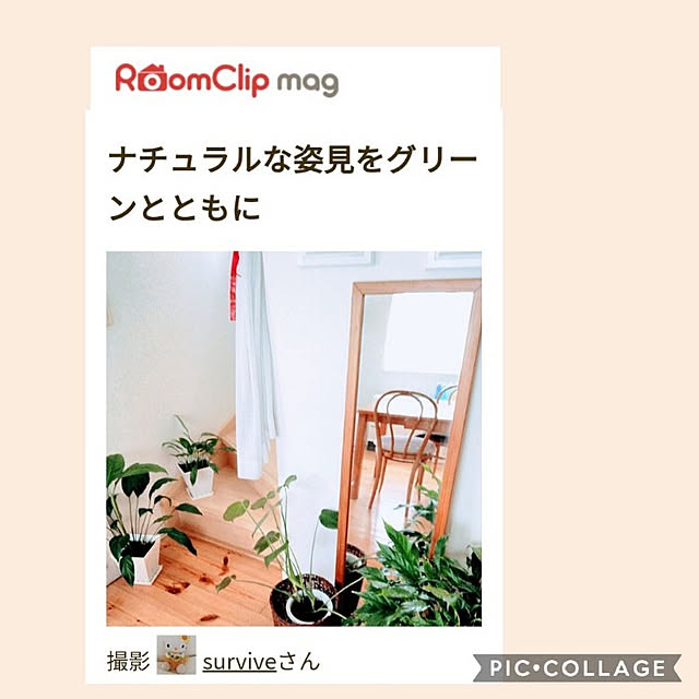 surviveさんの実例写真