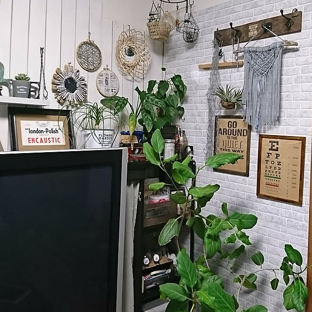 okameさんの実例写真