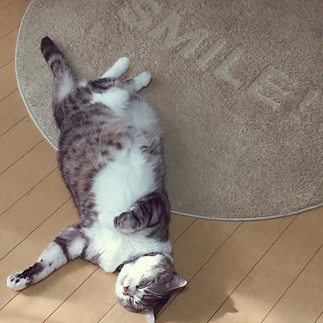 acoさんの実例写真