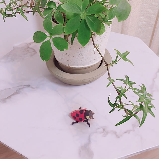 k-roomさんの実例写真