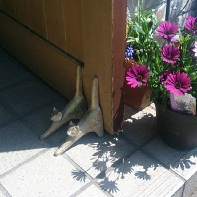 kanemasa-kanazawaさんの実例写真