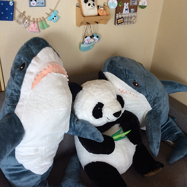 eighterさんの実例写真