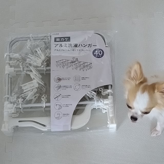 toratanさんの部屋