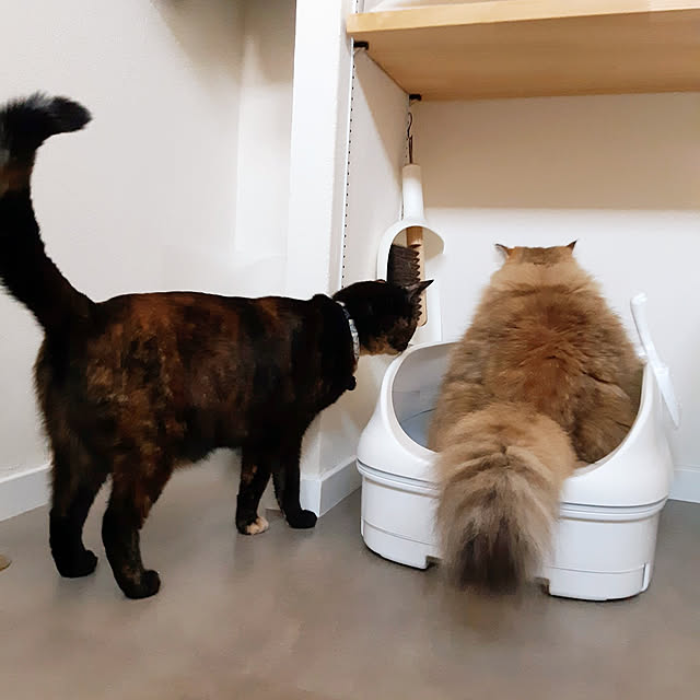 nanoさんの実例写真