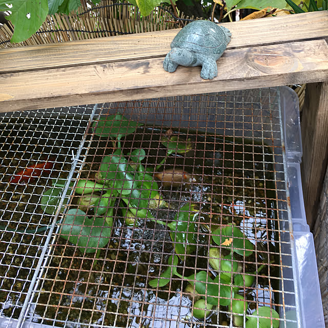 kobaさんの実例写真