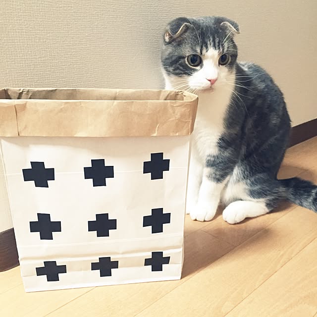 tansukeさんの実例写真