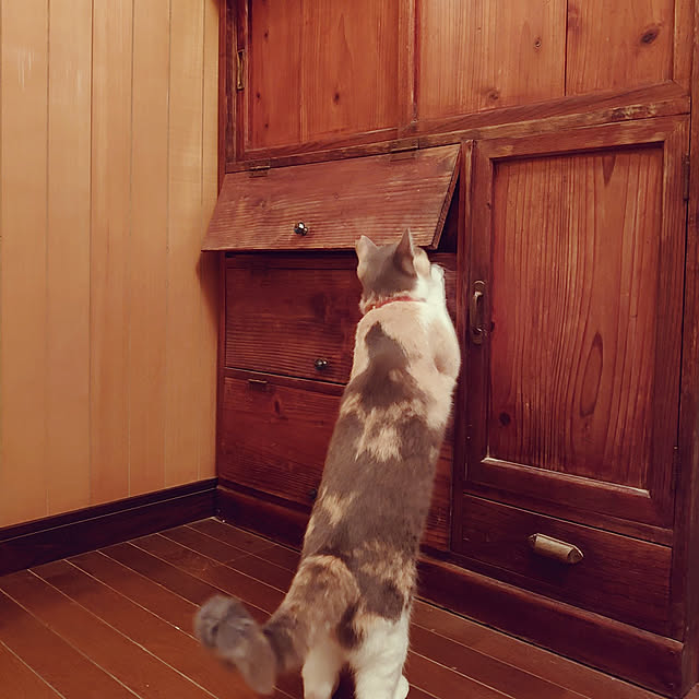 fukuさんの実例写真