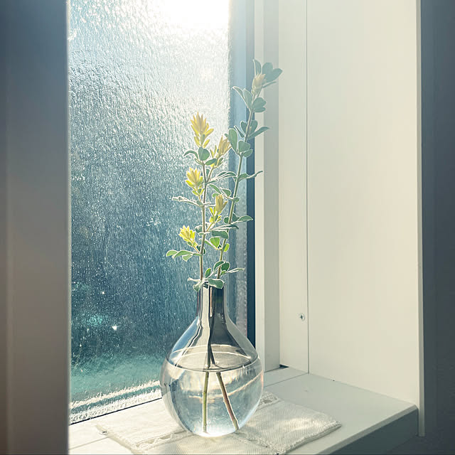 zmzmさんの実例写真