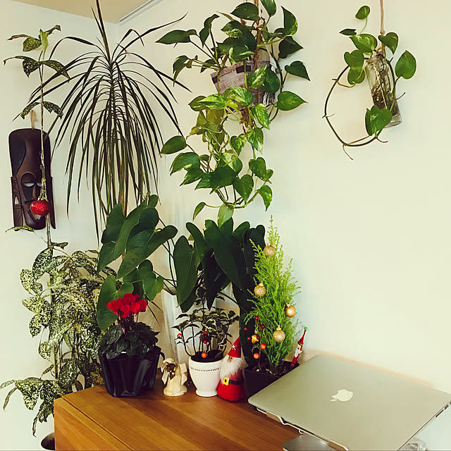 観葉植物/DIY/机のインテリア実例 - 2022-01-28 22:22:18